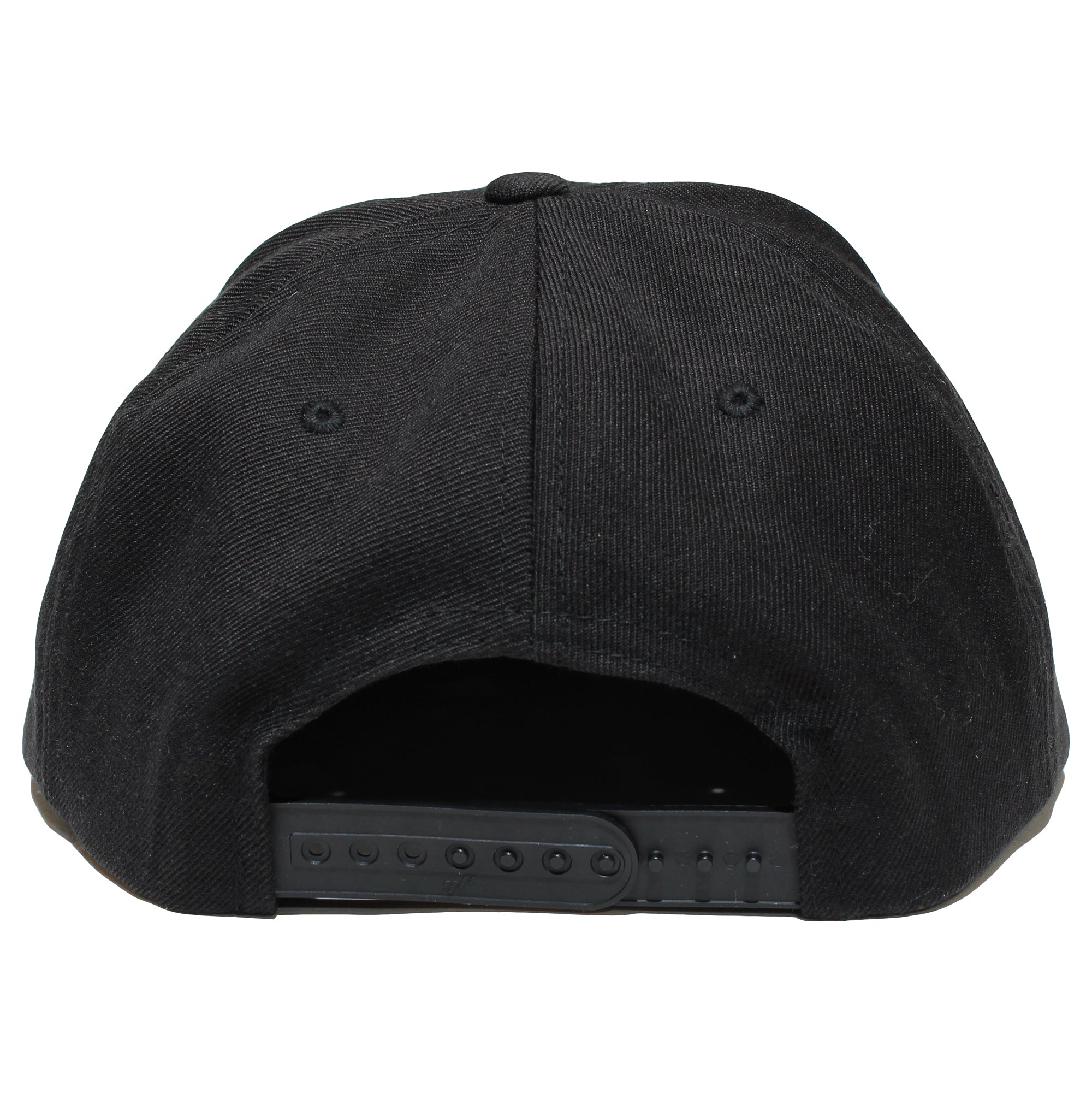 Pro-Lite logo hat back