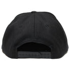 Pro-Lite logo hat back